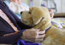 In Italia 1,2 milioni di persone con demenza, oltre la metà affette da Alzheimer
