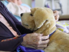 In Italia 1,2 milioni di persone con demenza, oltre la metà affette da Alzheimer