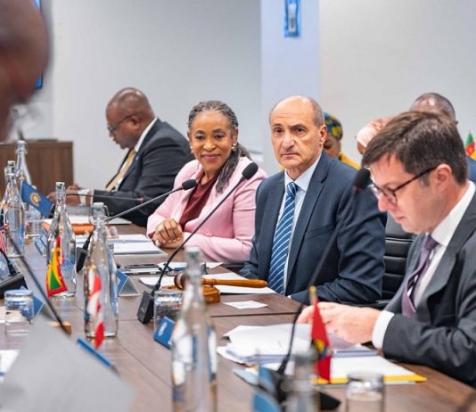 Malta’s Foreign Minister discusses Canada ties amid closer EU relations
