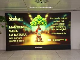 La tutela della biodiversità negli aeroporti, la campagna europea Plant Health 4 Life a Malpensa e Linate