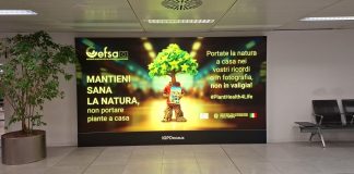 La tutela della biodiversità negli aeroporti, la campagna europea Plant Health 4 Life a Malpensa e Linate