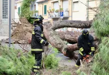 Maltempo in diverse aree della Toscana: oltre 63 mila fulmini in 12 ore, bomba d’acqua su Grosseto