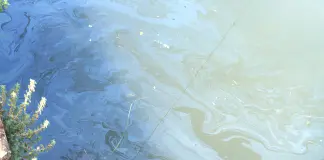 Nuovi sversamenti nel Naviglio, Gruppo CAP collabora alle indagini