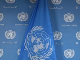 Mase, il Centro UNDP di Roma diventa pilastro dell’hub italiano per clima ed energia