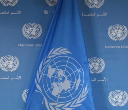 Mase, il Centro UNDP di Roma diventa pilastro dell’hub italiano per clima ed energia
