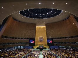 Egypt and seven other countries call for respect for the ceasefire in Gaza