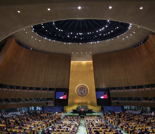 Egypt and seven other countries call for respect for the ceasefire in Gaza