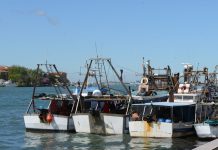 Delegazione del Parlamento Europeo in Alto Adriatico per valutare le sfide ambientali del delta del Po e le esigenze dei pescatori locali