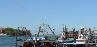 Delegazione del Parlamento Europeo in Alto Adriatico per valutare le sfide ambientali del delta del Po e le esigenze dei pescatori locali