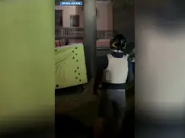 Si barrica sul tetto di un’abitazione a Bergamo, arrestato dopo ore di negoziazione / Video