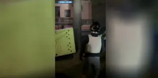 Si barrica sul tetto di un’abitazione a Bergamo, arrestato dopo ore di negoziazione / Video