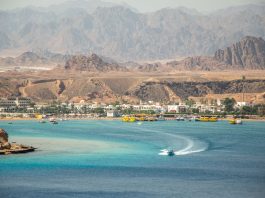 Egypt has welcomed 13.6 million tourists since the beginning of the year, the target is 20 million