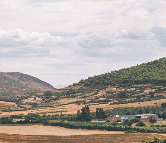 Un progetto Interreg NEXT Italia-Tunisia per risparmiare l’acqua in agricoltura