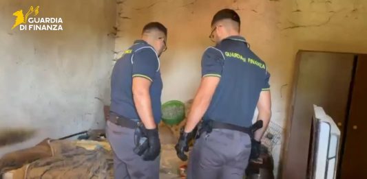 Smantellate due serre di marijuana in provincia di Udine, sequestrati 23 chili di droga