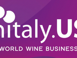 L’Italia sarà presente a Vinitaly Usa 2026, Mazzi: “Gli Stati Uniti sono un mercato cruciale”