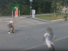 Cremona, arrestati due giovani di 21 e 23 anni per tentato omicidio / Video