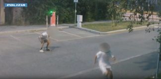 Cremona, arrestati due giovani di 21 e 23 anni per tentato omicidio / Video
