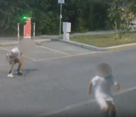 Cremona, arrestati due giovani di 21 e 23 anni per tentato omicidio / Video
