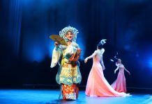 Germania: iniziato il 2026 Duisburg China Festival (1)
