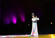 Germania: iniziato il 2026 Duisburg China Festival (3)