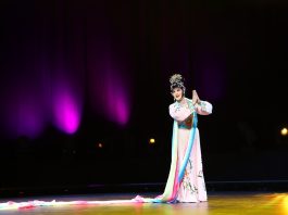 Germania: iniziato il 2026 Duisburg China Festival (3)