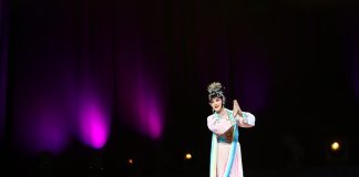Germania: iniziato il 2026 Duisburg China Festival (3)