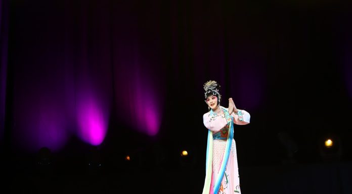 Germania: iniziato il 2026 Duisburg China Festival (3)