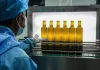 Cina: a Longnan sessione di valutazione per Australian Int’l Olive Awards (1)