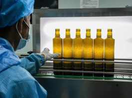 Cina: a Longnan sessione di valutazione per Australian Int’l Olive Awards (1)