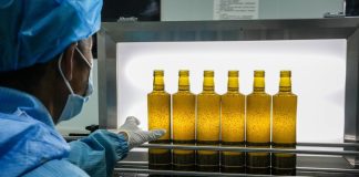 Cina: a Longnan sessione di valutazione per Australian Int’l Olive Awards (1)
