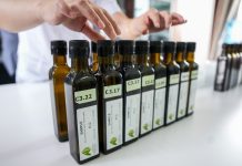 Cina: a Longnan sessione di valutazione per Australian Int’l Olive Awards (2)