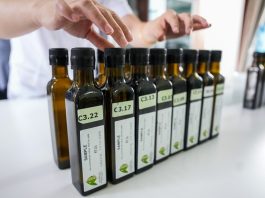 Cina: a Longnan sessione di valutazione per Australian Int’l Olive Awards (2)