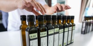 Cina: a Longnan sessione di valutazione per Australian Int’l Olive Awards (2)