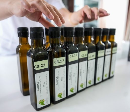 Cina: a Longnan sessione di valutazione per Australian Int’l Olive Awards (2)