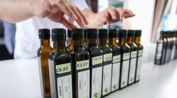 Cina: a Longnan sessione di valutazione per Australian Int’l Olive Awards (2)