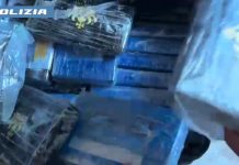 Maxi sequestro di droga a Pomezia, 31kg tra cocaina e hashish: 3 arresti / Video