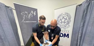 Da Miami a Torino con una testa di coccodrillo in valigia, denunciato un passeggero
