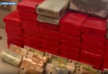 Aveva in casa 70kg di cocaina e 170 mila euro in contanti, un arresto nel Milanese / Video
