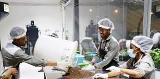 BRICS: cooperazione ampliata entra in una fase di sviluppo di alta qualità (3)