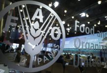 Cina: a Roma confronto con la FAO sull’innovazione nell’acquacoltura (1)