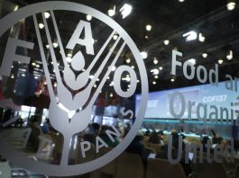 Cina: a Roma confronto con la FAO sull’innovazione nell’acquacoltura (1)