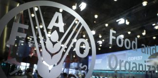 Cina: a Roma confronto con la FAO sull’innovazione nell’acquacoltura (1)