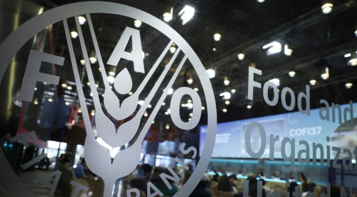 Cina: a Roma confronto con la FAO sull’innovazione nell’acquacoltura (1)