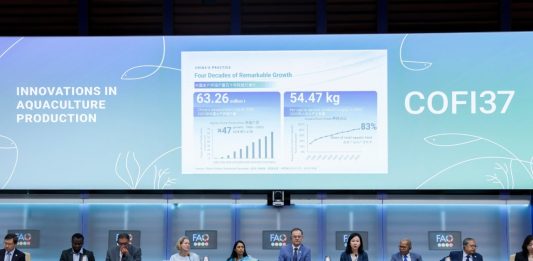 Cina: a Roma confronto con la FAO sull’innovazione nell’acquacoltura (2)