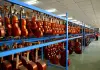Cina: nello Henan cresce l’industria della liuteria (1)