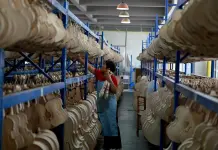 Cina: nello Henan cresce l’industria della liuteria (2)