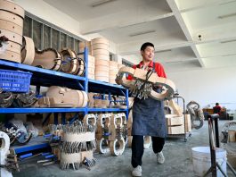 Cina: nello Henan cresce l’industria della liuteria (3)
