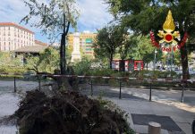Milano, crolla improvvisamente un grosso ramo di un albero in Piazza Risorgimento: 3 persone ferite