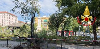 Milano, crolla improvvisamente un grosso ramo di un albero in Piazza Risorgimento: 3 persone ferite