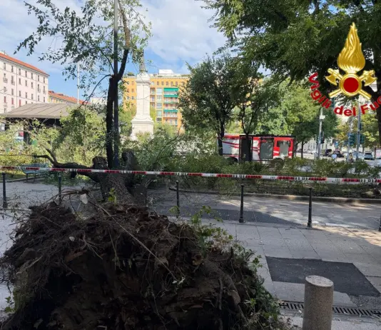 Milano, crolla improvvisamente un grosso ramo di un albero in Piazza Risorgimento: 3 persone ferite